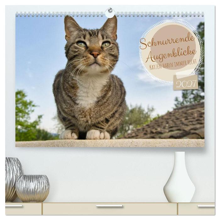 Schnurrende Augenblicke (CALVENDO Premium Wandkalender 2027)