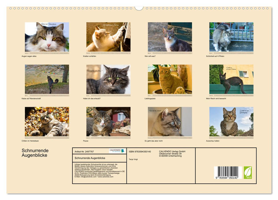 Schnurrende Augenblicke (CALVENDO Premium Wandkalender 2027)