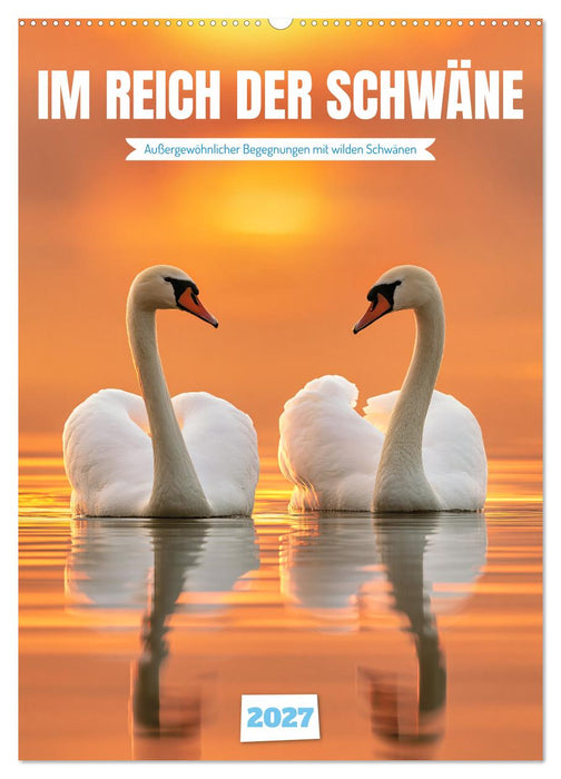 Im Reich der Schwäne (CALVENDO Wandkalender 2027)