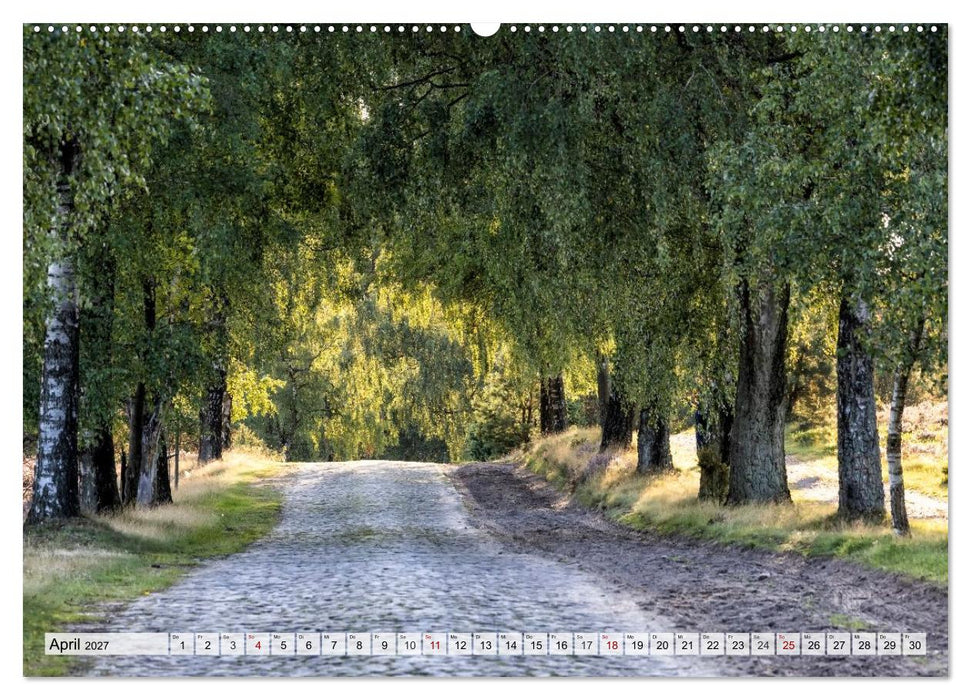 Lüneburger Heide - Wo die Jahreszeiten zu Hause sind (CALVENDO Wandkalender 2027)