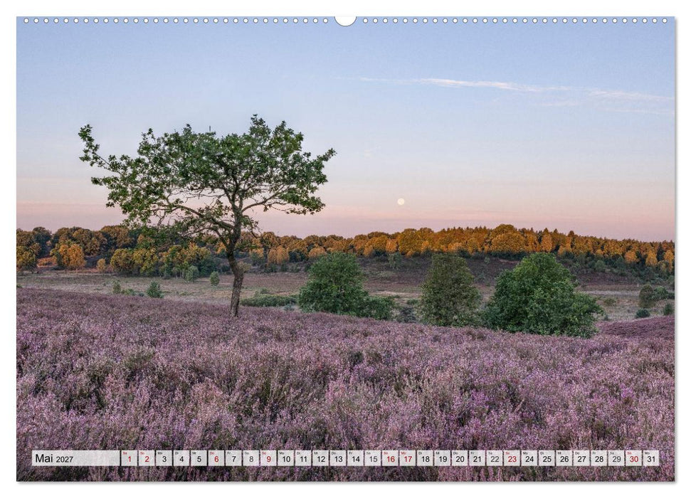 Lüneburger Heide - Wo die Jahreszeiten zu Hause sind (CALVENDO Wandkalender 2027)