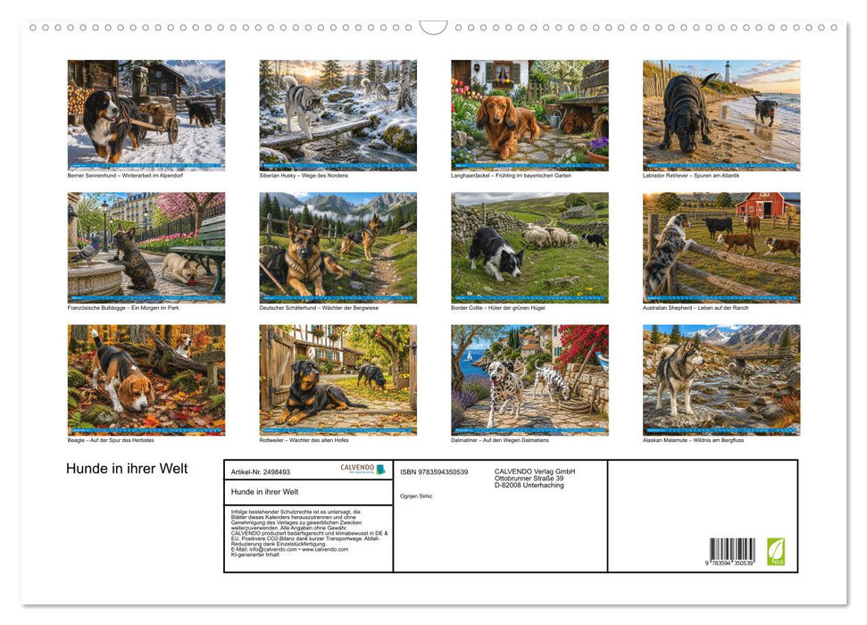 Hunde in ihrer Welt (CALVENDO Wandkalender 2027)