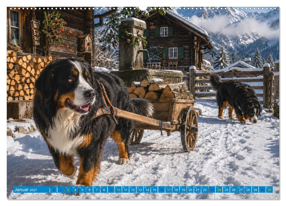 Hunde in ihrer Welt (CALVENDO Wandkalender 2027)
