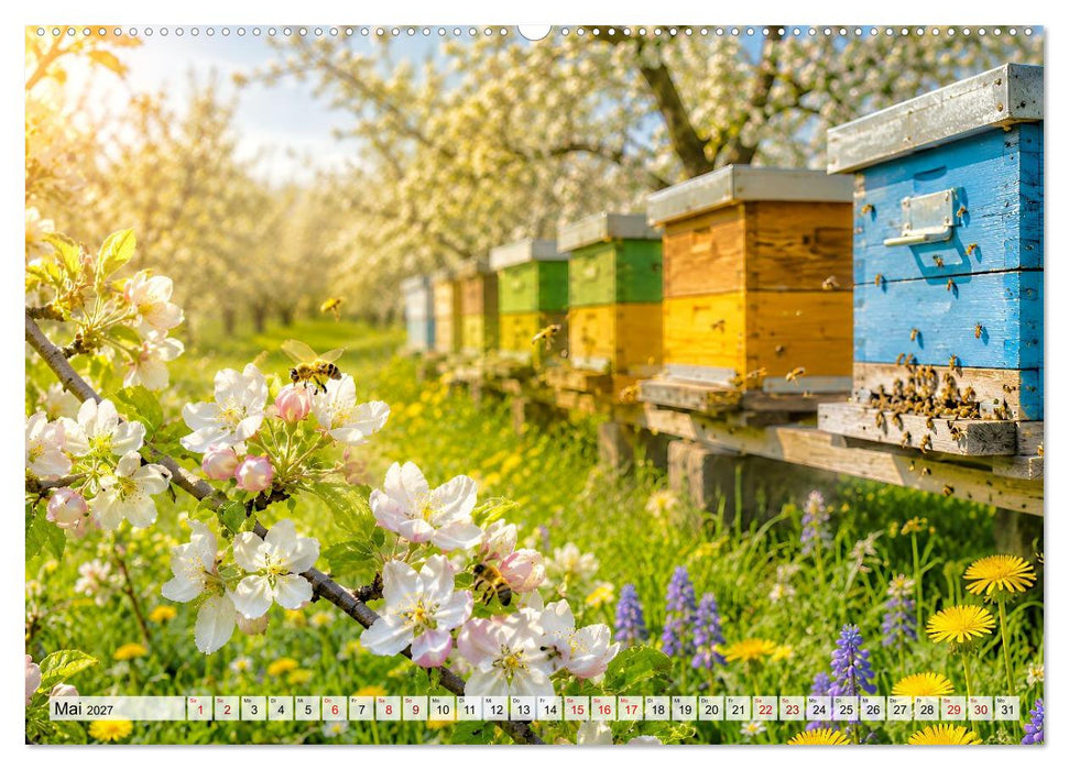 Landwärts im Jahreslauf (CALVENDO Premium Wandkalender 2027)
