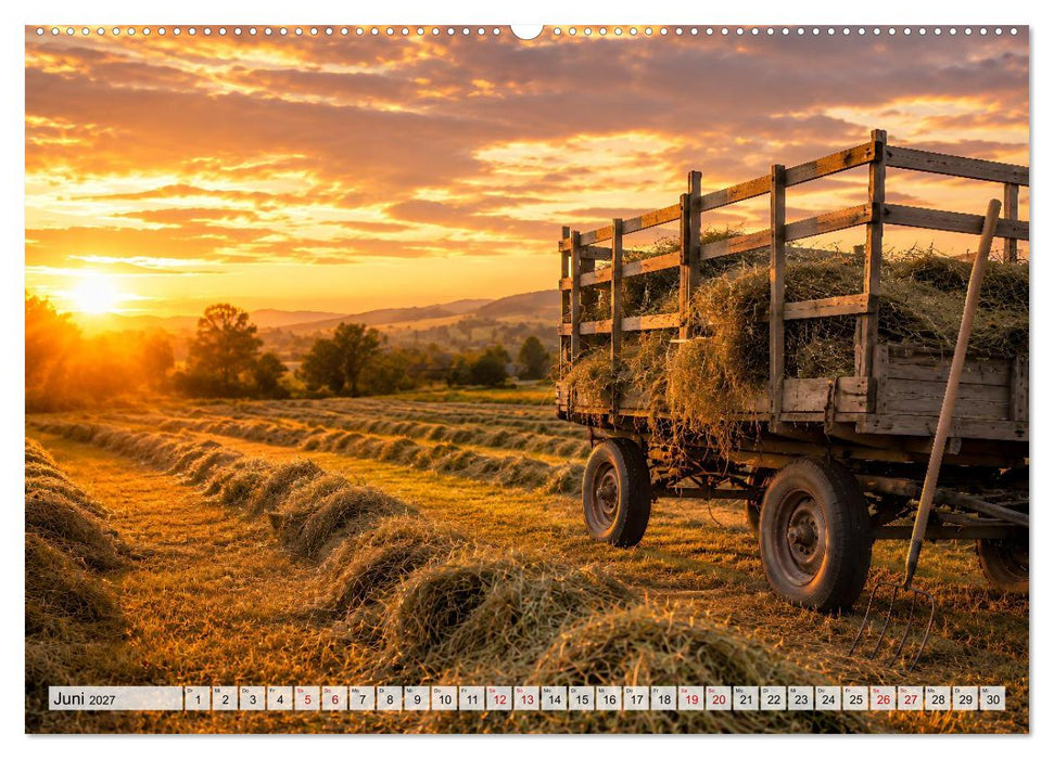 Landwärts im Jahreslauf (CALVENDO Premium Wandkalender 2027)