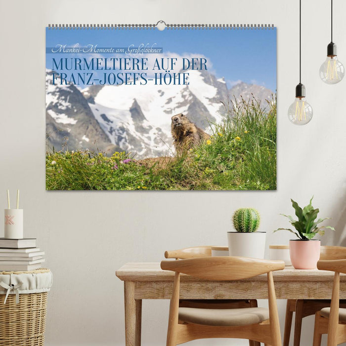Mankei Momente am Großglockner- Murmeltiere auf der Franz-Josefs-Höhe (CALVENDO Wandkalender 2027)