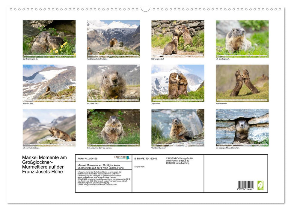 Mankei Momente am Großglockner- Murmeltiere auf der Franz-Josefs-Höhe (CALVENDO Wandkalender 2027)