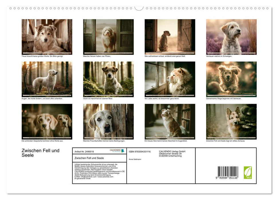 Zwischen Fell und Seele (CALVENDO Premium Wandkalender 2027)