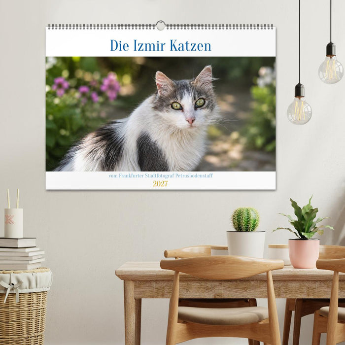 Die Izmir Katzen (CALVENDO Wandkalender 2027)