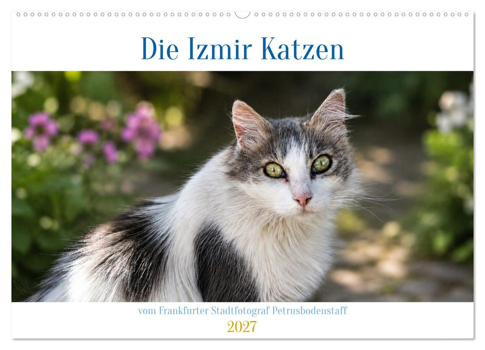 Die Izmir Katzen (CALVENDO Wandkalender 2027)