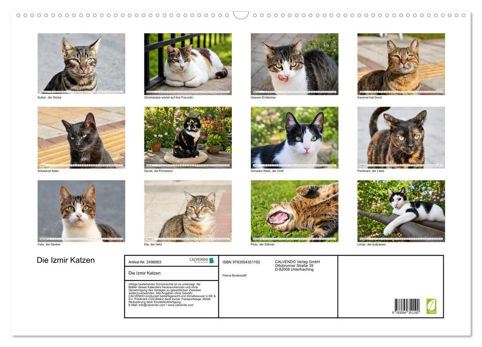 Die Izmir Katzen (CALVENDO Wandkalender 2027)
