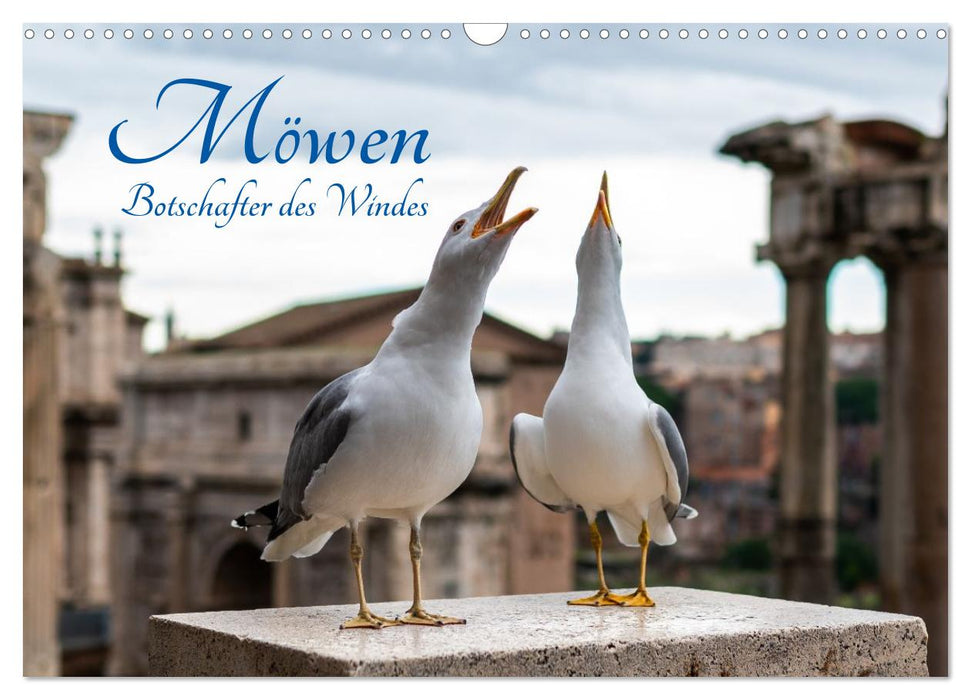 Möwen- Botschafter des Windes (CALVENDO Wandkalender 2027)