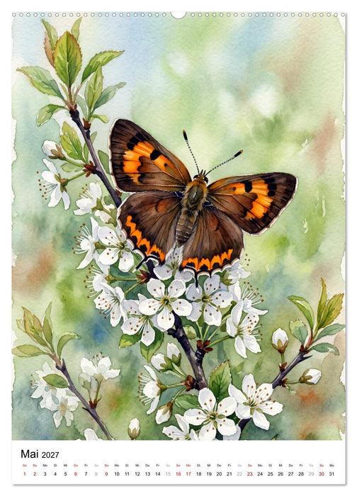 Schmetterlinge in Aquarell (CALVENDO Wandkalender 2027)