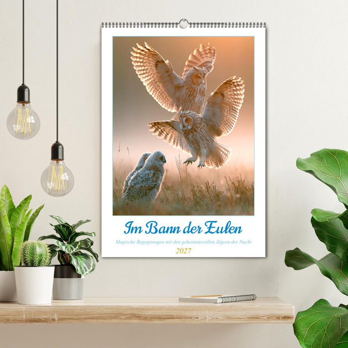 Im Bann der Eulen (CALVENDO Wandkalender 2027)