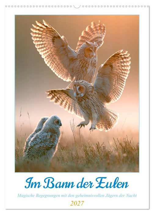 Im Bann der Eulen (CALVENDO Wandkalender 2027)