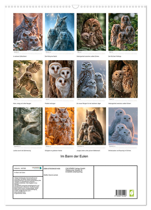 Im Bann der Eulen (CALVENDO Wandkalender 2027)