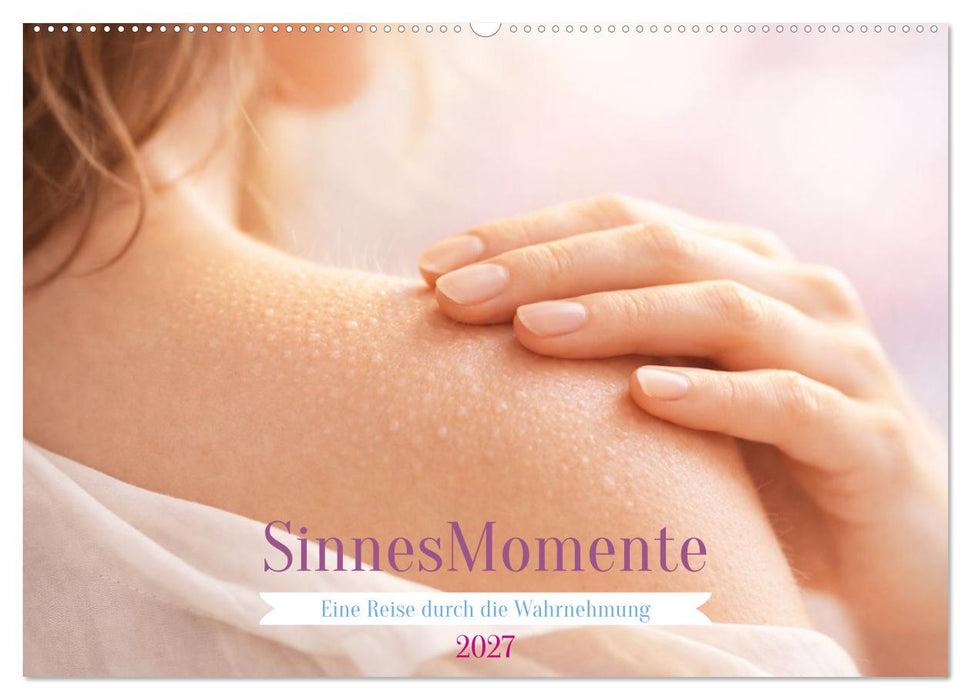Sinnesmomente - Eine Reise durch die Wahrnehmung (CALVENDO Wandkalender 2027)