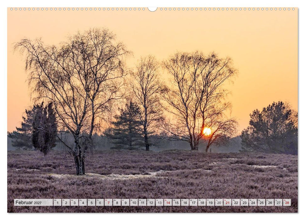 Lüneburger Heide - Wo die Jahreszeiten zu Hause sind (CALVENDO Premium Wandkalender 2027)