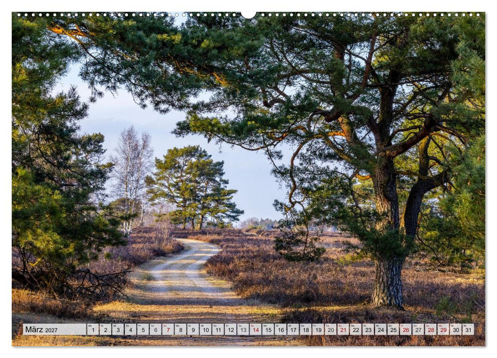 Lüneburger Heide - Wo die Jahreszeiten zu Hause sind (CALVENDO Premium Wandkalender 2027)