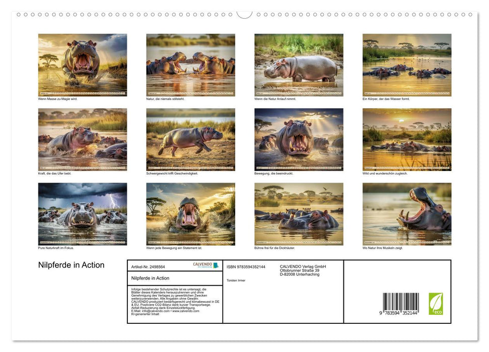 Nilpferde in Action (CALVENDO Premium Wandkalender 2027)