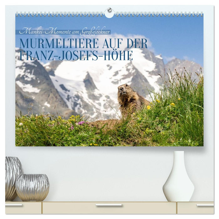 Mankei Momente am Großglockner- Murmeltiere auf der Franz-Josefs-Höhe (CALVENDO Premium Wandkalender 2027)