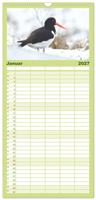 Limikolen an deutschen Küsten (CALVENDO Familienplaner 2027)