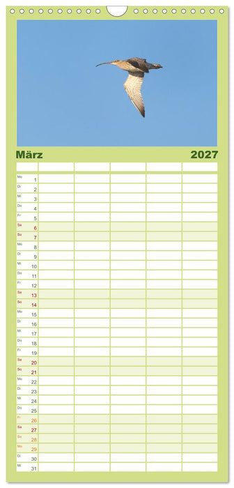 Limikolen an deutschen Küsten (CALVENDO Familienplaner 2027)
