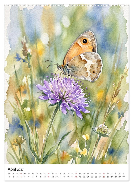 Schmetterlinge in Aquarell (CALVENDO Premium Wandkalender 2027)