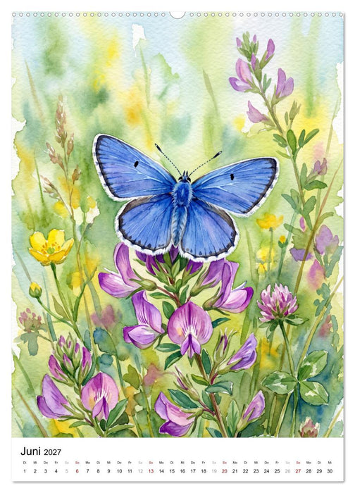Schmetterlinge in Aquarell (CALVENDO Premium Wandkalender 2027)