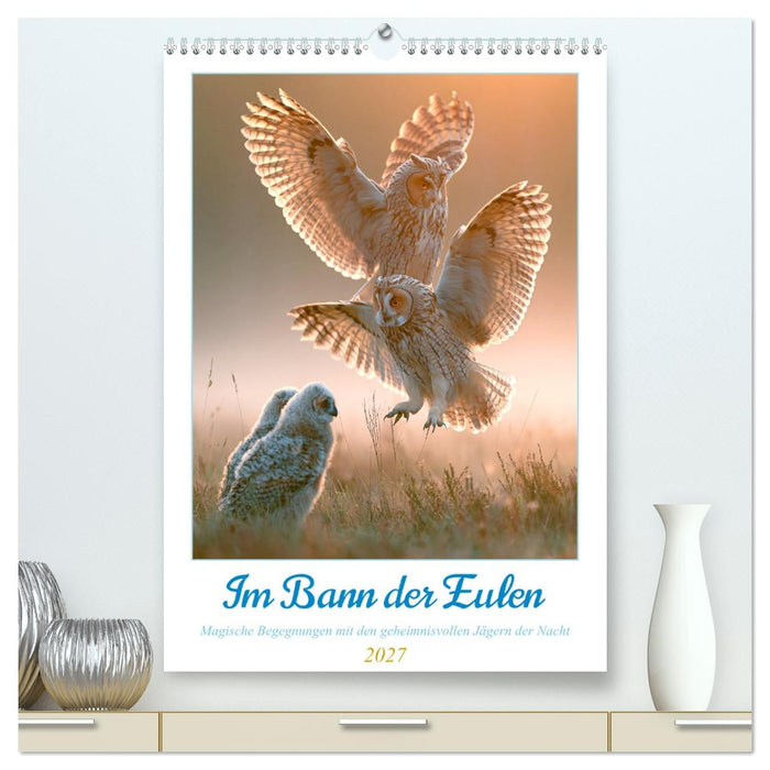 Im Bann der Eulen (CALVENDO Premium Wandkalender 2027)