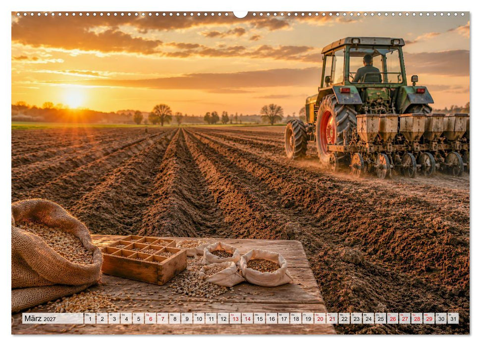 Landwärts im Jahreslauf (CALVENDO Wandkalender 2027)