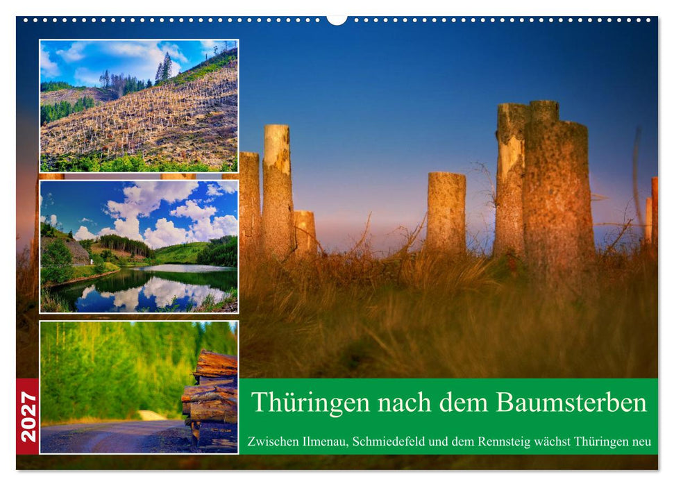Thüringen nach dem Baumsterben (CALVENDO Wandkalender 2027)