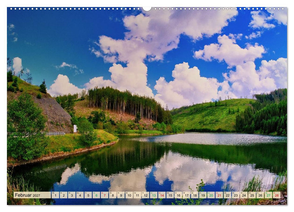 Thüringen nach dem Baumsterben (CALVENDO Wandkalender 2027)