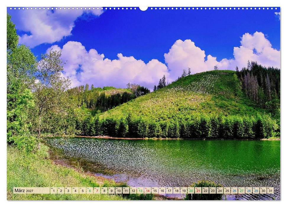 Thüringen nach dem Baumsterben (CALVENDO Wandkalender 2027)