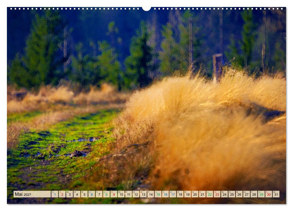 Thüringen nach dem Baumsterben (CALVENDO Wandkalender 2027)