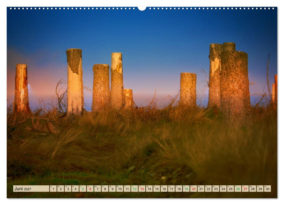 Thüringen nach dem Baumsterben (CALVENDO Wandkalender 2027)