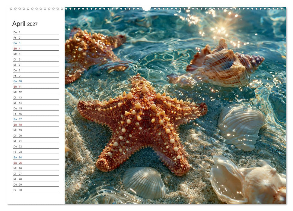 Sommer für die Seele (CALVENDO Wandkalender 2027)