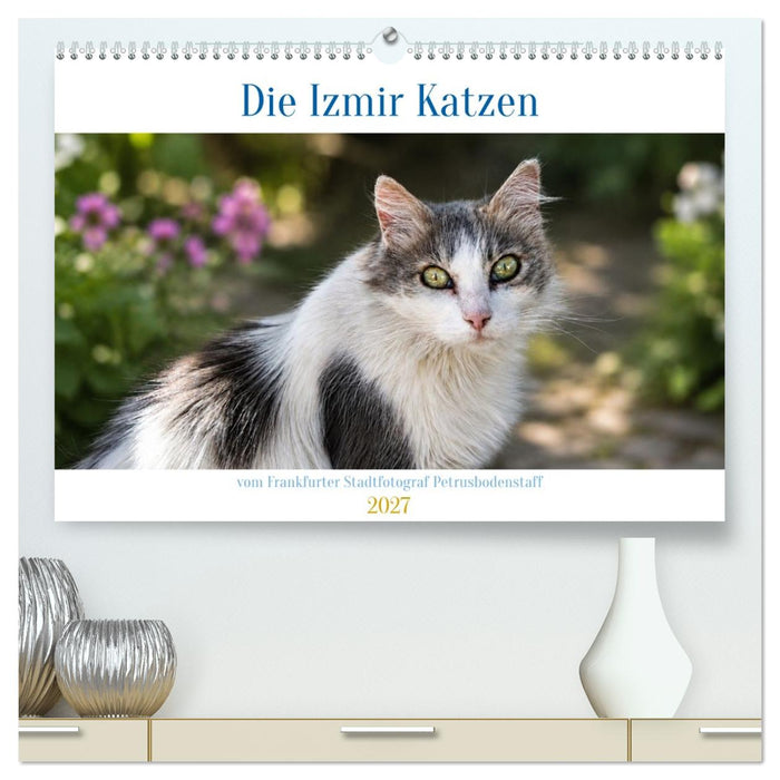 Die Izmir Katzen (CALVENDO Premium Wandkalender 2027)