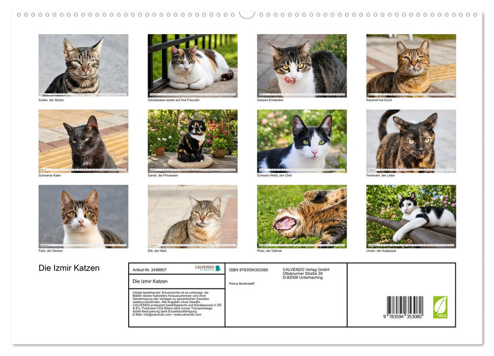 Die Izmir Katzen (CALVENDO Premium Wandkalender 2027)