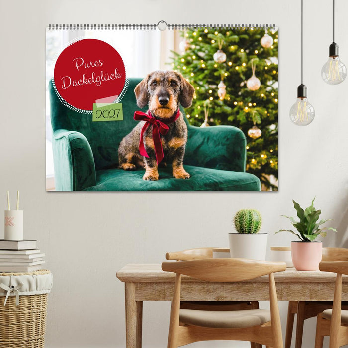 Pures Dackelglück (CALVENDO Wandkalender 2027)