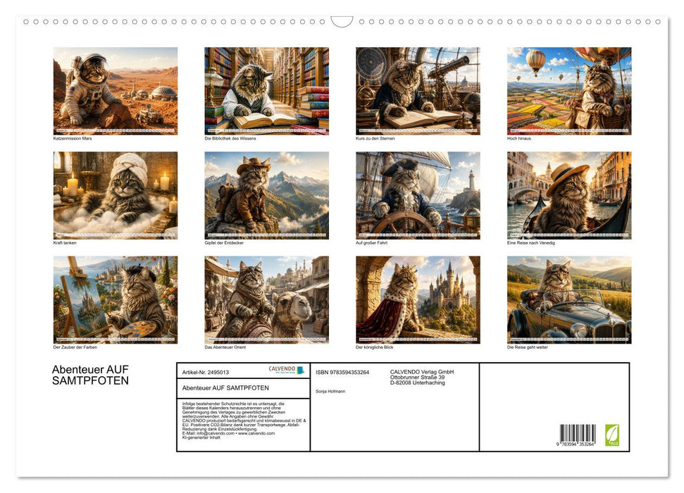 Abenteuer AUF SAMTPFOTEN (CALVENDO Wandkalender 2027)