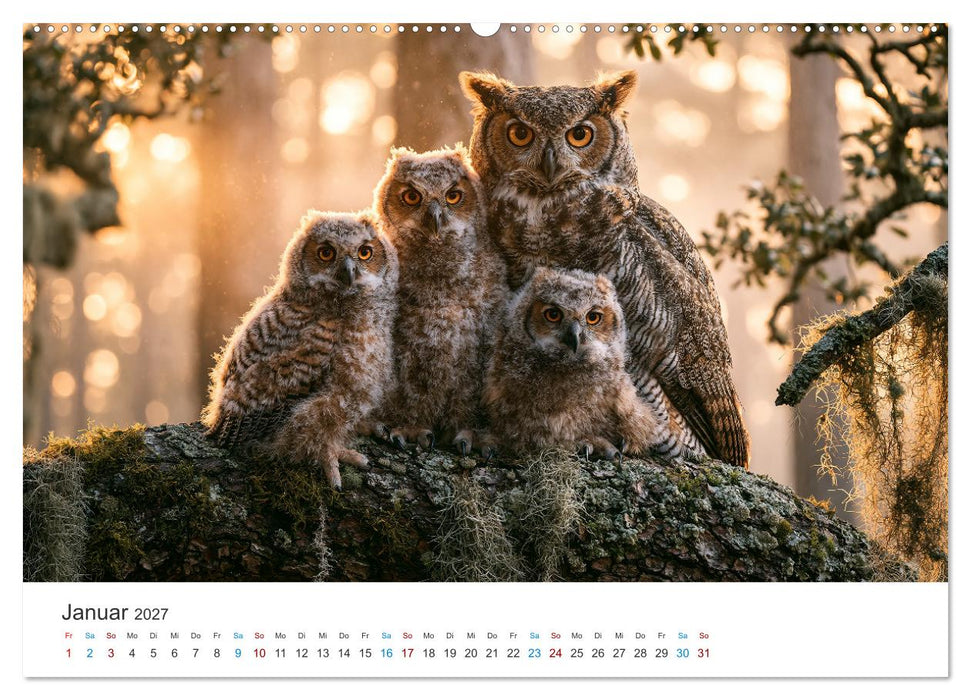 Hüter der Nacht (CALVENDO Wandkalender 2027)