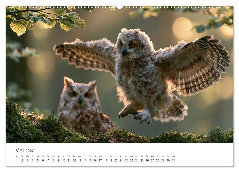 Hüter der Nacht (CALVENDO Wandkalender 2027)