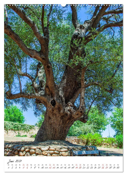 Sardinien - Eine besonders abwechslungsreiche Insel (CALVENDO Premium Wandkalender 2027)