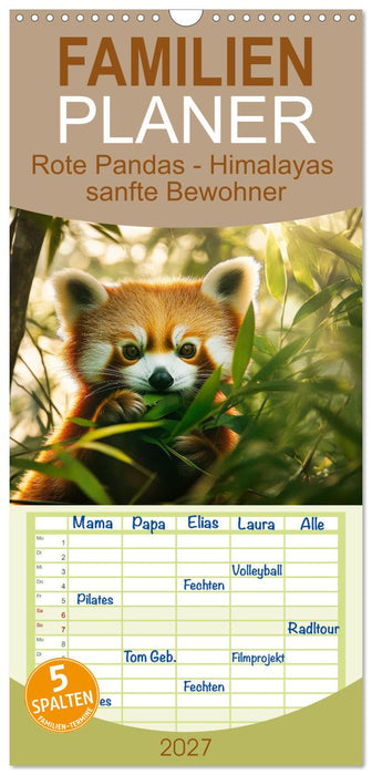 Rote Pandas - Himalayas sanfte Bewohner (CALVENDO Familienplaner 2027)