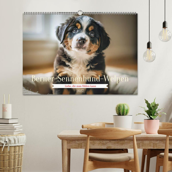 Berner-Sennenhund-Welpen (CALVENDO Wandkalender 2027)