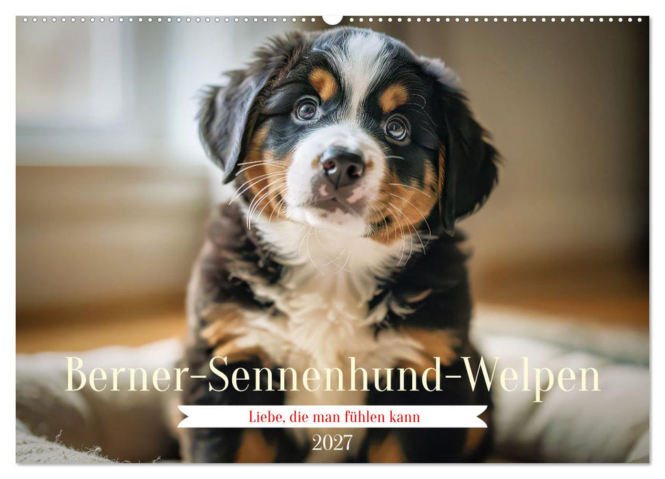 Berner-Sennenhund-Welpen (CALVENDO Wandkalender 2027)