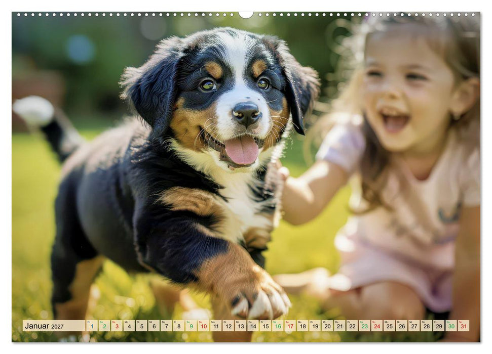 Berner-Sennenhund-Welpen (CALVENDO Wandkalender 2027)
