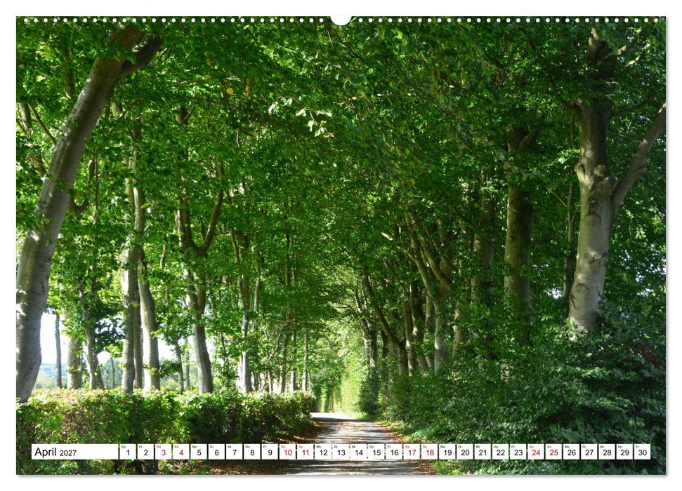 Eicherscheid - Das Golddorf im Monschauer Land (CALVENDO Wandkalender 2027)