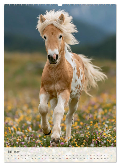Stolze Haflinger Pferde (CALVENDO Premium Wandkalender 2027)